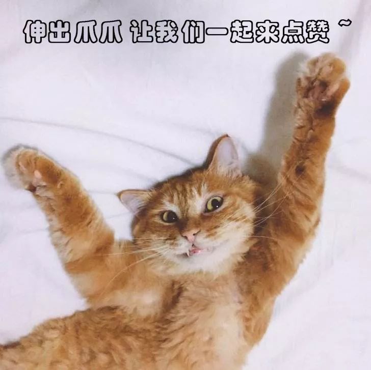 每日一笑你觉得哪个更好笑,每日一笑差距