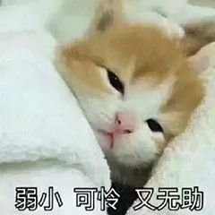 第一次做汇报紧张,第一次相亲好紧张