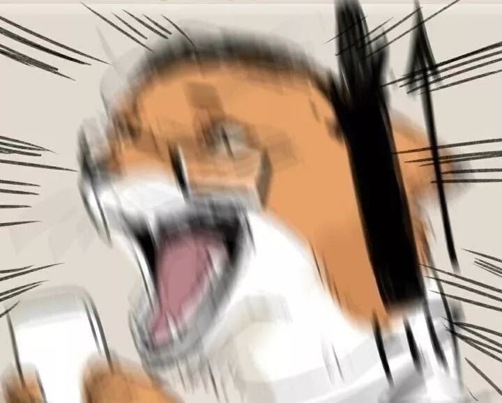 第一次做汇报紧张,第一次相亲好紧张