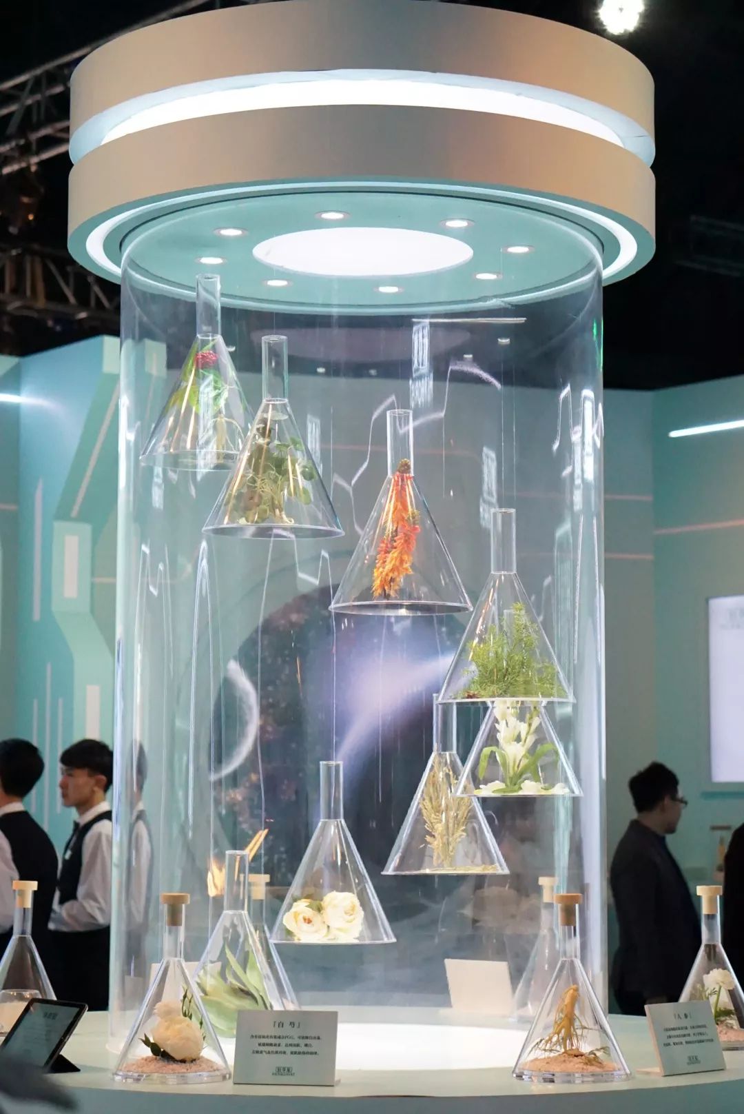 鲜货|“鲜女”当道,全靠这些来续美