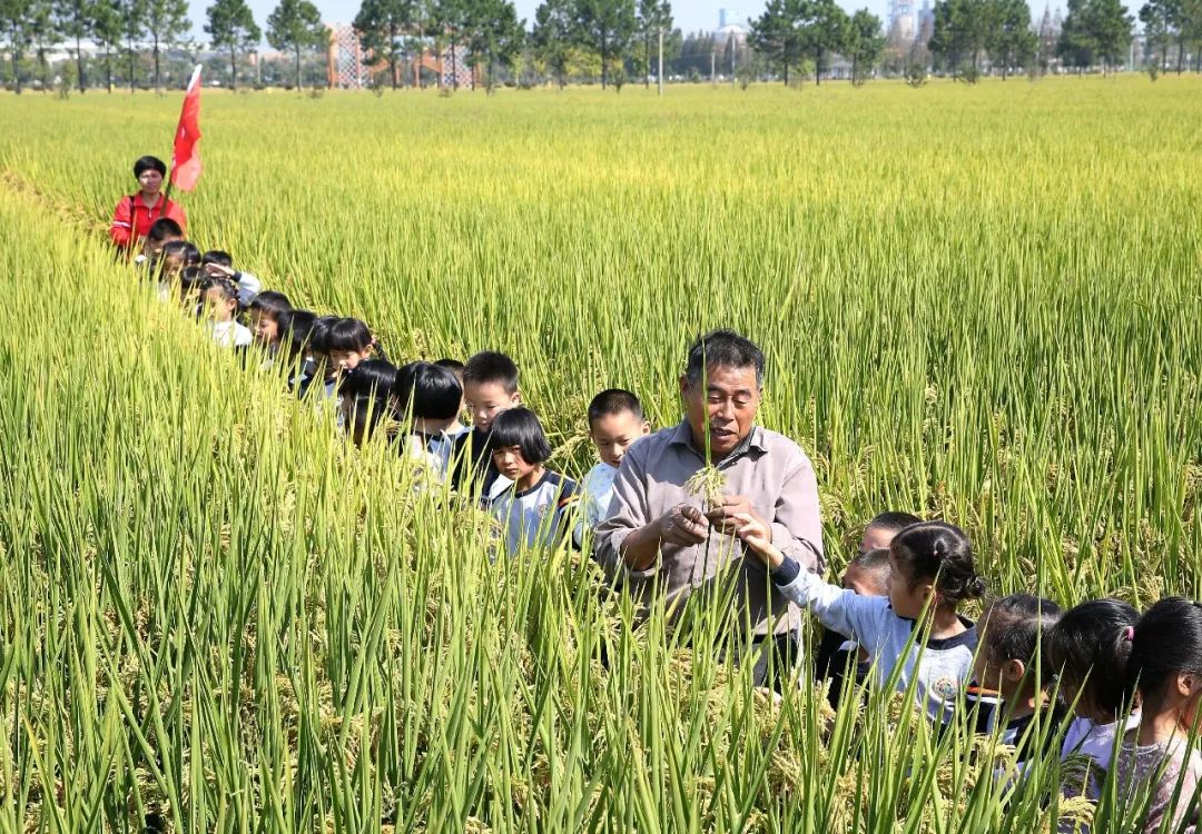 这里是安徽,这里是新安
