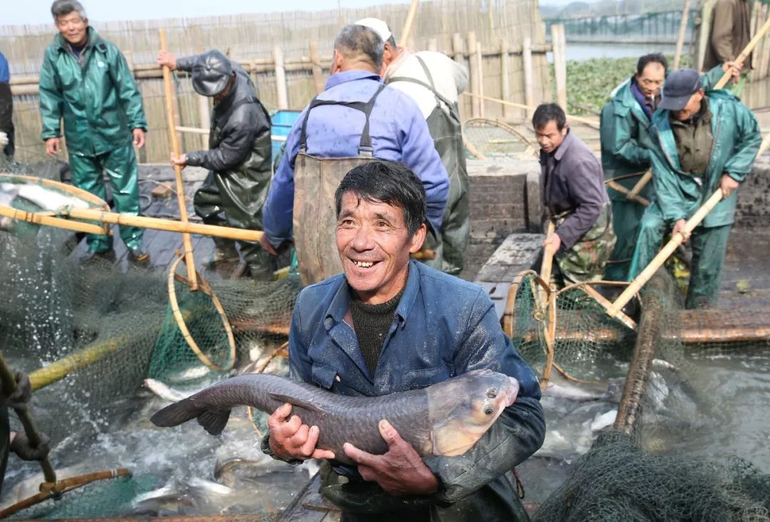 这里是安徽,这里是新安