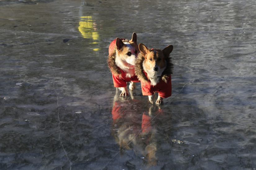 藏地秘境,贡嘎雪山之冷噶措自驾*行游**迹