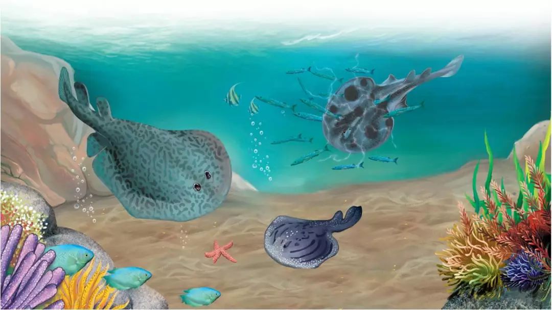 你们两个不要打架,高情商回复你别到处放电