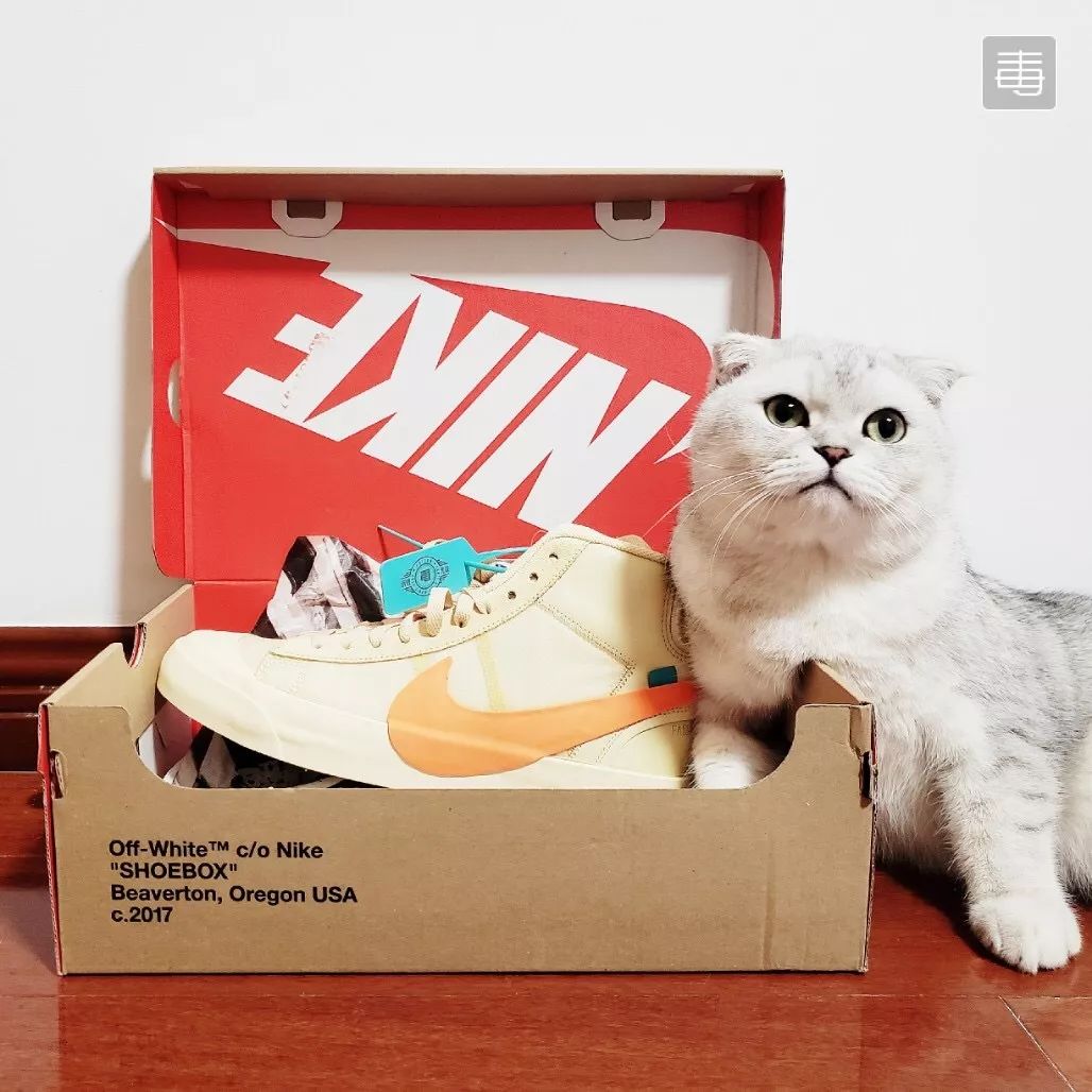 最近很火的鞋子aj1,晒鞋aj