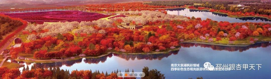 邳州枫彩漫城未来规划,枫彩漫城景区