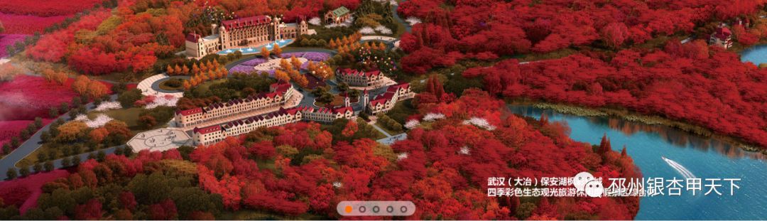 邳州枫彩漫城未来规划,枫彩漫城景区