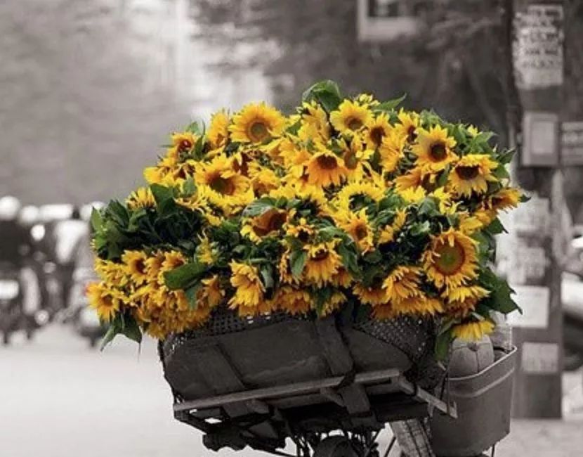 互联网人：焦虑、抑郁症的自我治疗方法！