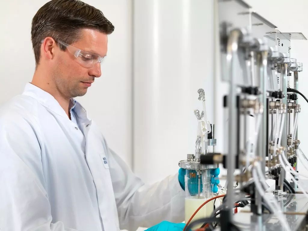 她一出生就是网红！从400名对手中脱颖而出，被千亿大佬选中！据说全世界的孩子都离不开她！