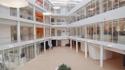 她一出生就是网红！从400名对手中脱颖而出，被千亿大佬选中！据说全世界的孩子都离不开她！