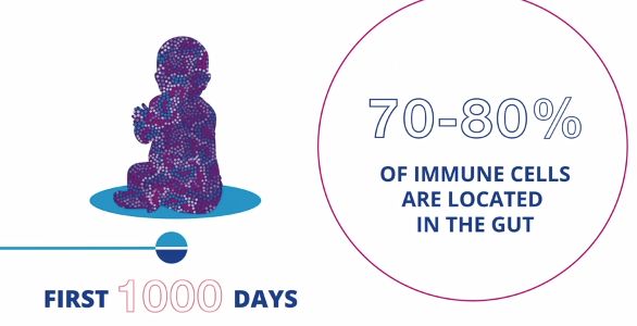 她一出生就是网红！从400名对手中脱颖而出，被千亿大佬选中！据说全世界的孩子都离不开她！