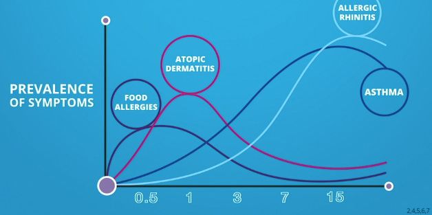 她一出生就是网红！从400名对手中脱颖而出，被千亿大佬选中！据说全世界的孩子都离不开她！