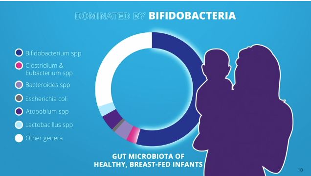 她一出生就是网红！从400名对手中脱颖而出，被千亿大佬选中！据说全世界的孩子都离不开她！