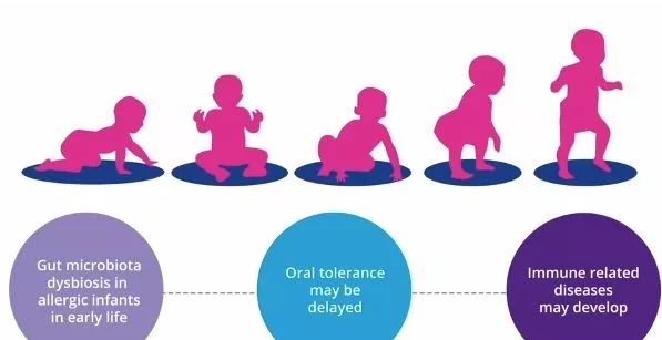 她一出生就是网红！从400名对手中脱颖而出，被千亿大佬选中！据说全世界的孩子都离不开她！