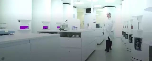 她一出生就是网红！从400名对手中脱颖而出，被千亿大佬选中！据说全世界的孩子都离不开她！