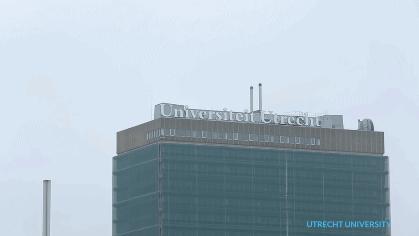 她一出生就是网红！从400名对手中脱颖而出，被千亿大佬选中！据说全世界的孩子都离不开她！