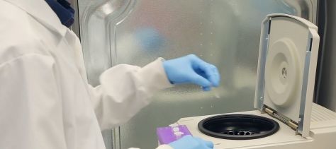 她一出生就是网红！从400名对手中脱颖而出，被千亿大佬选中！据说全世界的孩子都离不开她！