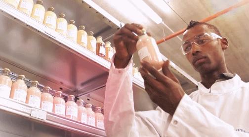 她一出生就是网红！从400名对手中脱颖而出，被千亿大佬选中！据说全世界的孩子都离不开她！