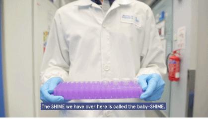 她一出生就是网红！从400名对手中脱颖而出，被千亿大佬选中！据说全世界的孩子都离不开她！