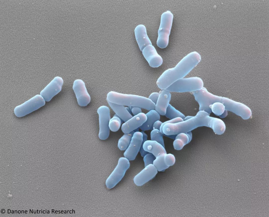 她一出生就是网红！从400名对手中脱颖而出，被千亿大佬选中！据说全世界的孩子都离不开她！