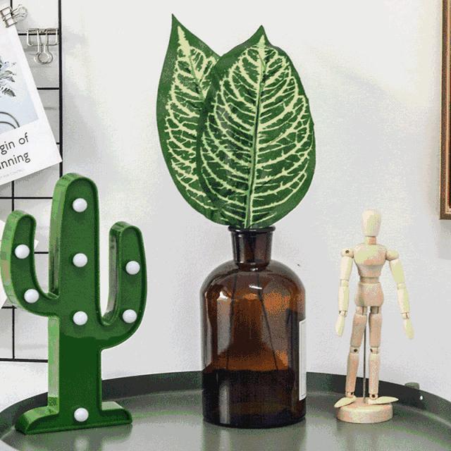 国产ins风系列,ins风的廉价潮流