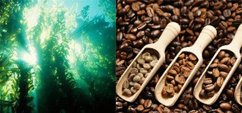 日本最有效的丰胸霜,日本好用的丰胸霜