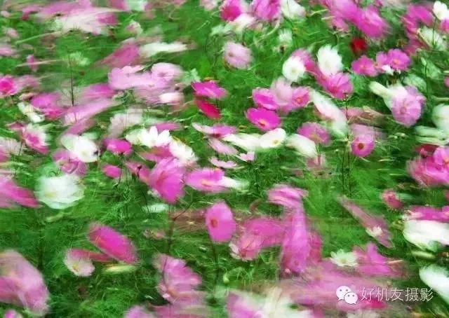 捷信三脚架选购,如何选择合适的三脚架