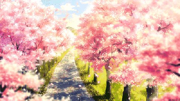 万花丛中，拍照选哪枝？话匣妹手把手教你过春天