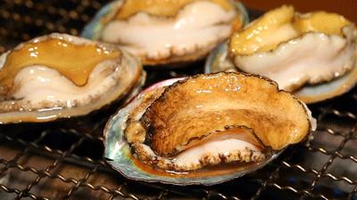 佛跳墙五星级酒店价格,广东佛跳墙五星级酒店