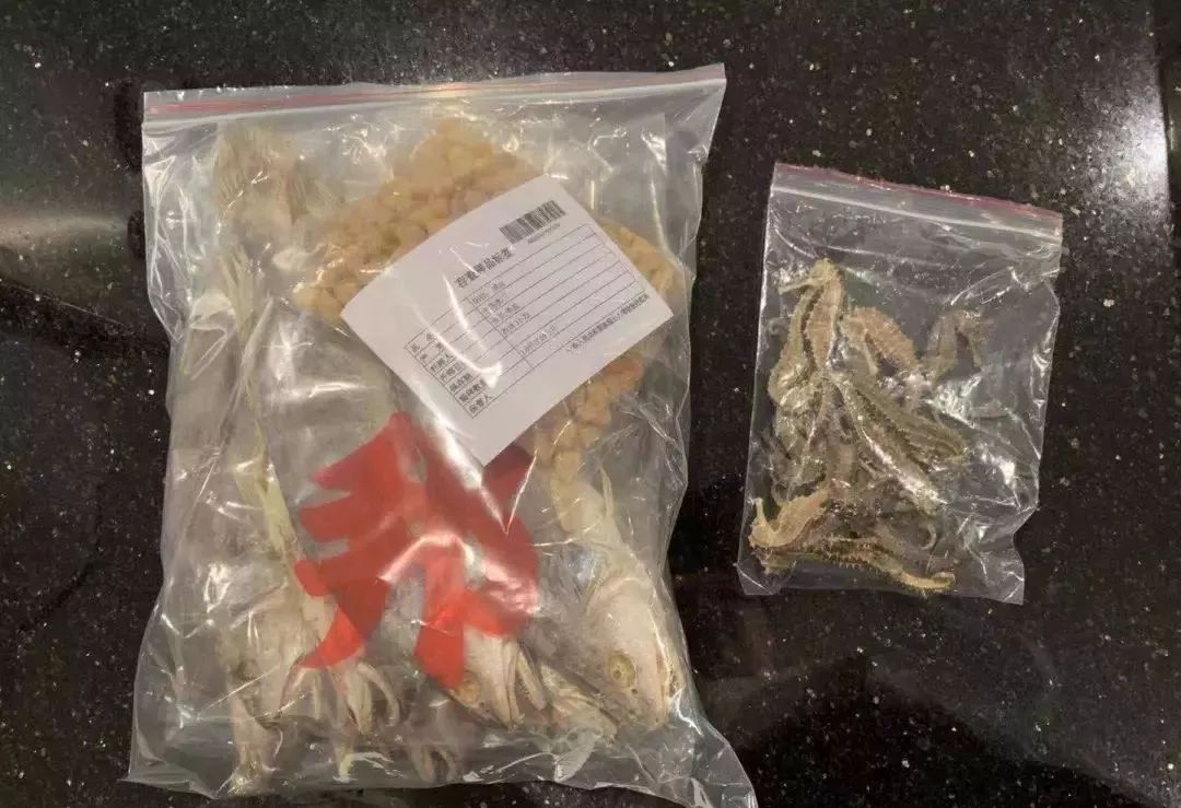 去港澳过关可以带食品吗,去东莞需要带哪些必备品