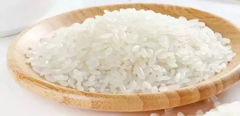 去港澳过关可以带食品吗,去东莞需要带哪些必备品