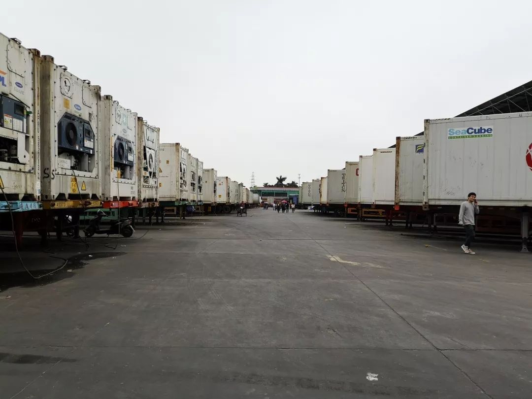 赣州车厘子最新官方消息,赣州产车厘子