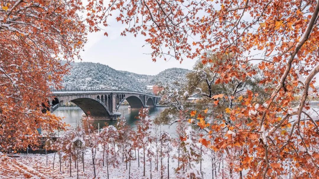 外地人如何办理洛阳旅游年票 (外地的怎么办理洛阳旅游年票)