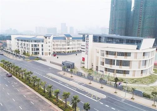 花儿朵朵向阳开毛笔书法作品,花儿朵朵向阳开音乐舞蹈