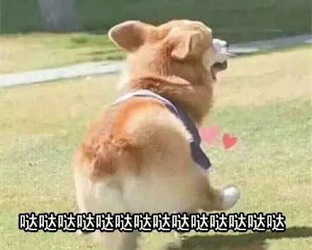 微商和代购最新规定,微商代购新规