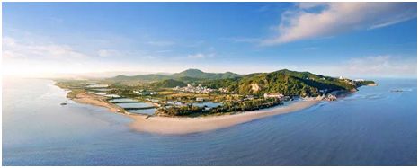 年底嗨爆琅岐岛｜前有国际巨头登陆，后有华人巨星登场