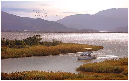 年底嗨爆琅岐岛｜前有国际巨头登陆，后有华人巨星登场