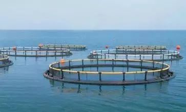 一家物流,最新获得融资的物流平台