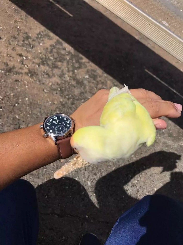 百达翡丽买表有门槛吗,2022年百达翡丽正装表30万以内