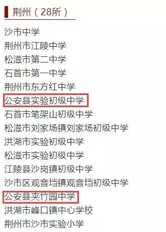 公安县最近发生的事情,公安学校案件