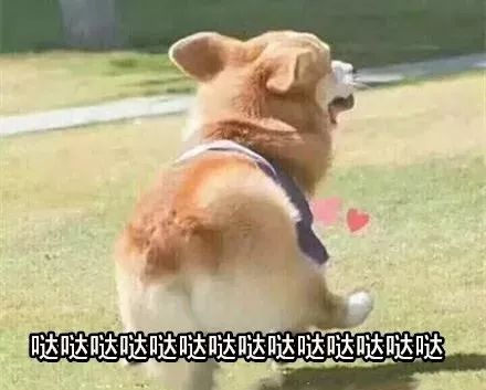 微商代购新规,再见代购再见微商