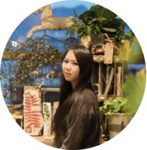 明星同款奶粉,明星同款孕妇奶粉