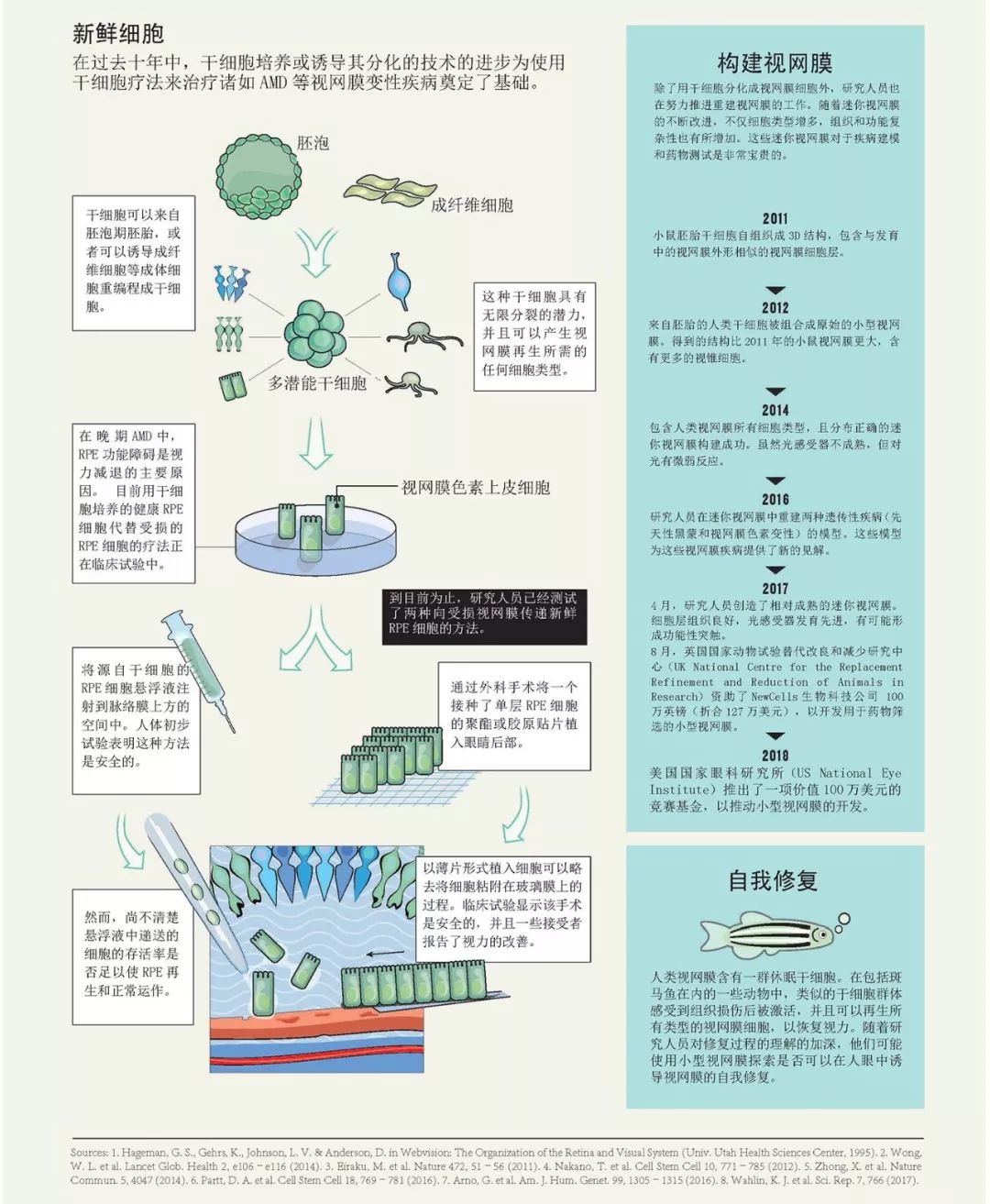 江湖论剑实录引人深思片段,江湖论剑实录深度解析