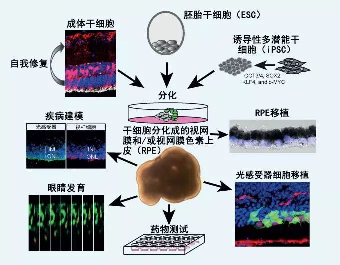 江湖论剑实录引人深思片段,江湖论剑实录深度解析