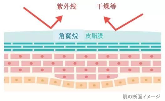 日本洗面奶cosme大赏,日本cosme洗面奶