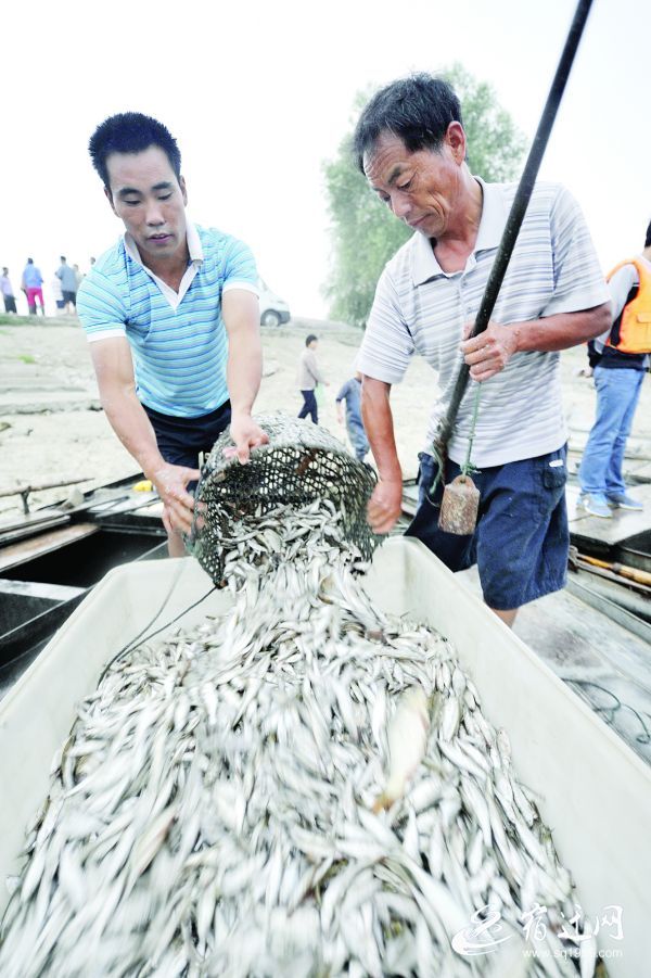 美丽晓店气象新山水之间谱新篇