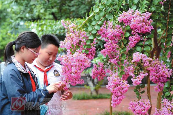 寻找最美校园截图,寻找中国最美高校