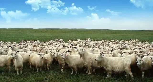 抑菌除螨喷雾日本进口,热销日本花王衣物除异味静电喷雾