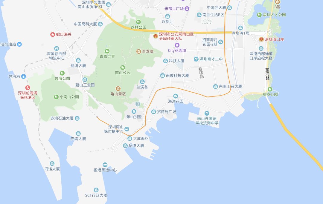 生活在蛇口是什么感觉,深圳蛇口本地人的生活