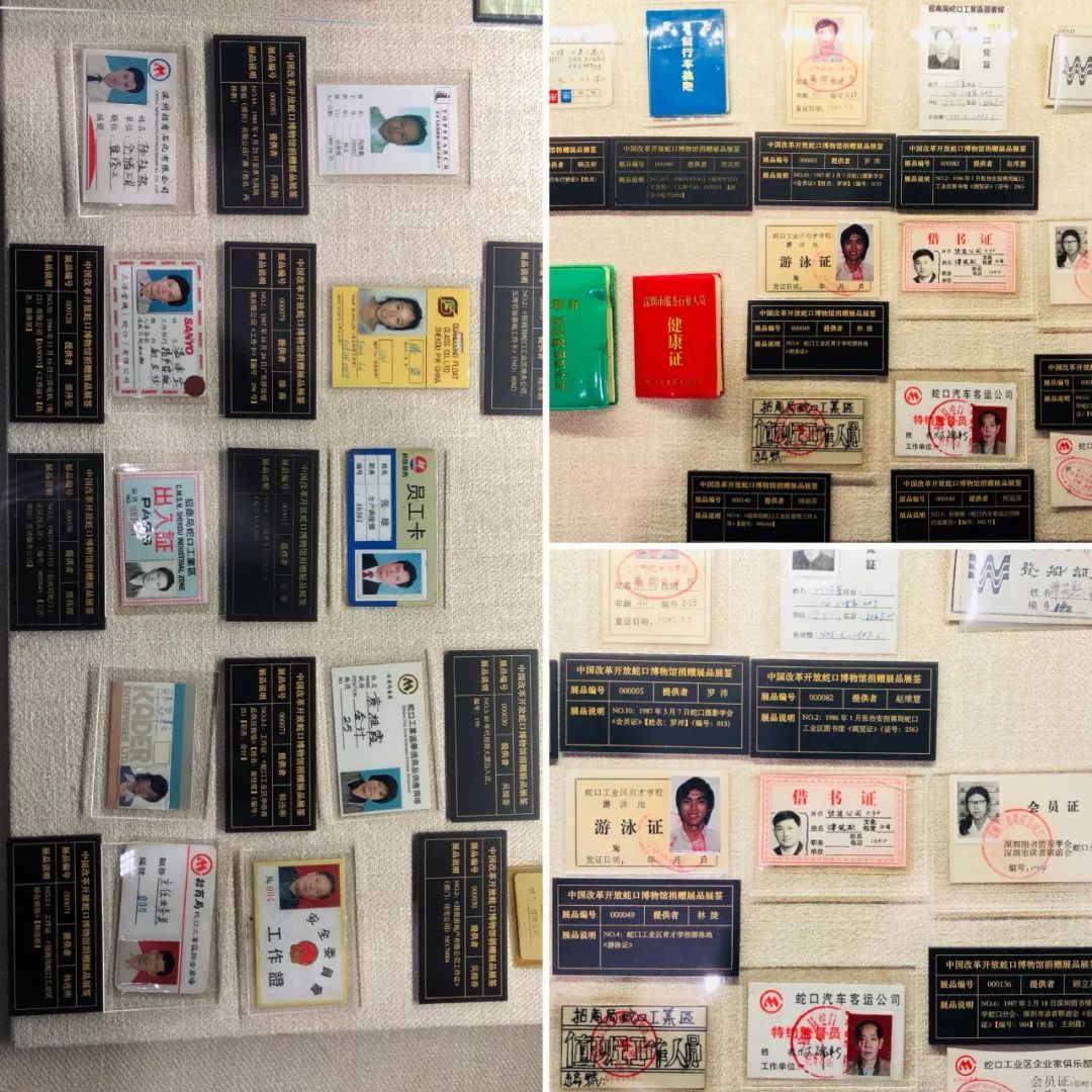 生活在蛇口是什么感觉,深圳蛇口本地人的生活